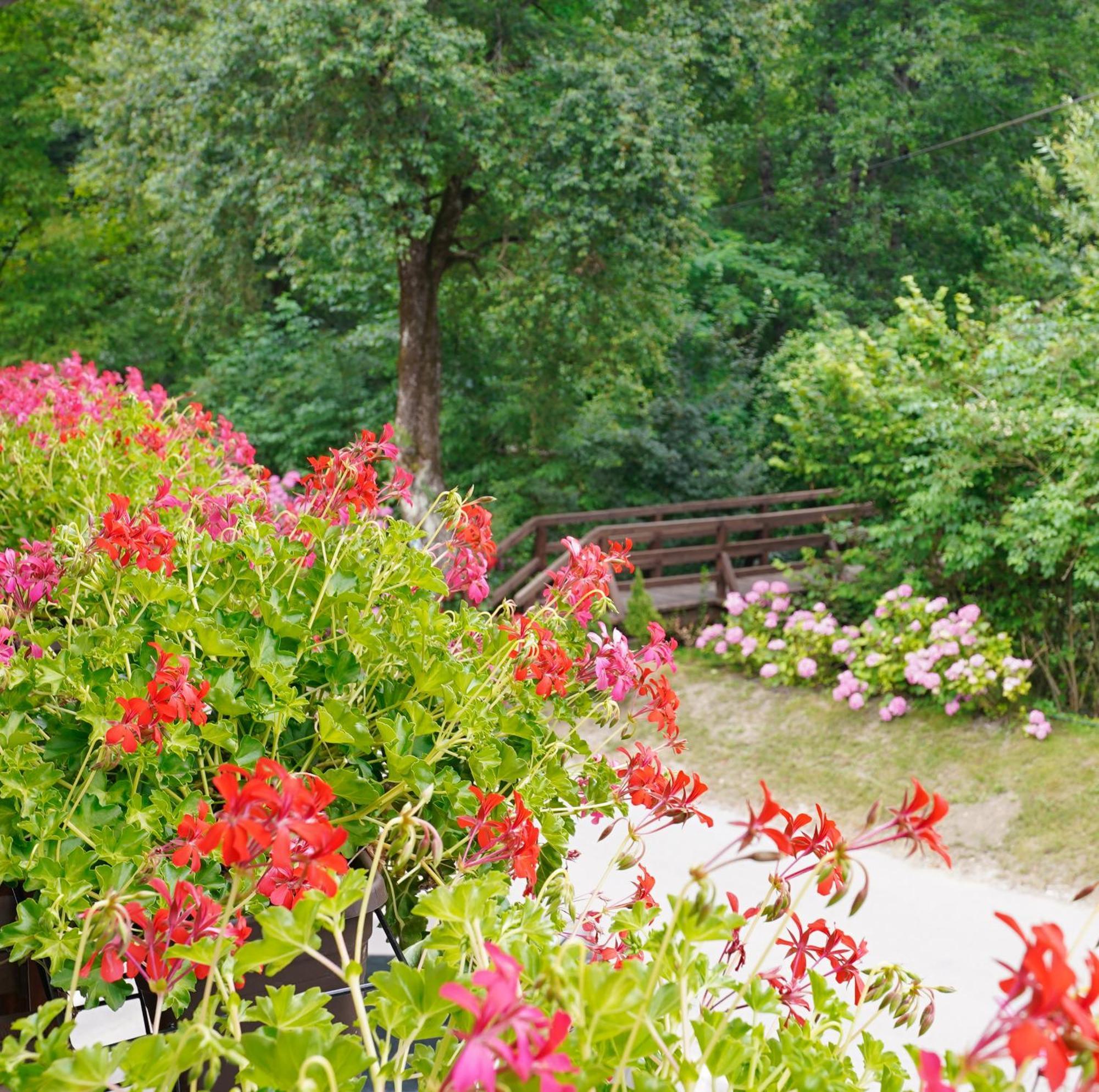 Domacija Bubec Villa Ilirska Bistrica Bagian luar foto