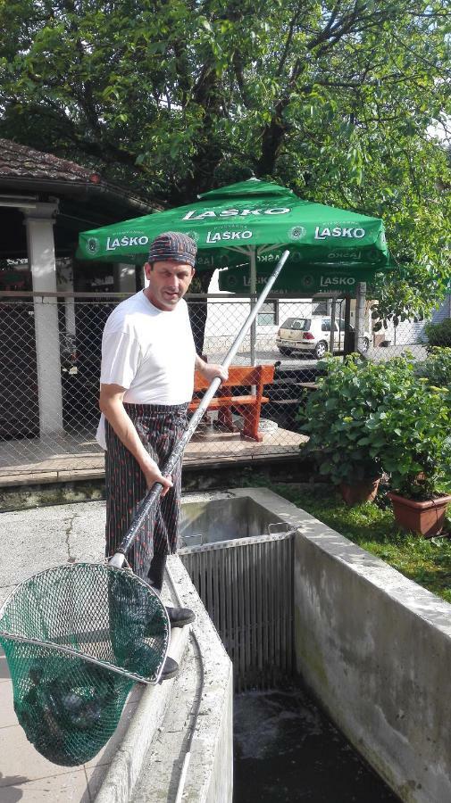 Domacija Bubec Villa Ilirska Bistrica Bagian luar foto